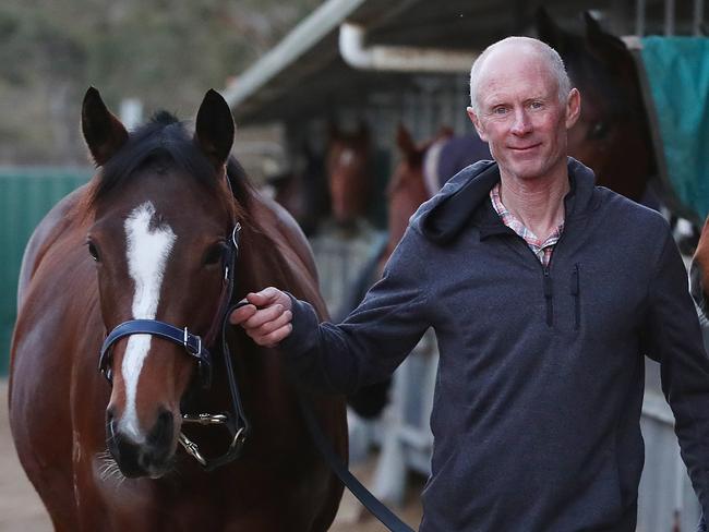 Trainer Danny Williams with horse Pixy at his stables in Goulburn NSW.There's a new mountain to climb on Everest day. TAB is offering punters $5 lotto tickets to win a slot in a major new country race, the Kosciuszku. Punters win the slot, then select a trainer and horse and split the prize money. There's $1.3m up for grabs, and the 12 slot winners will arrange with trainers the winners cut. Danny Williams with horse Pixy is a country trainer - he is out of the major cities and urban areas - and is excited by the new race. "It may depend on where a punter is from," he said. "If they're from Ballina, you'd think they would like to have a local representative."