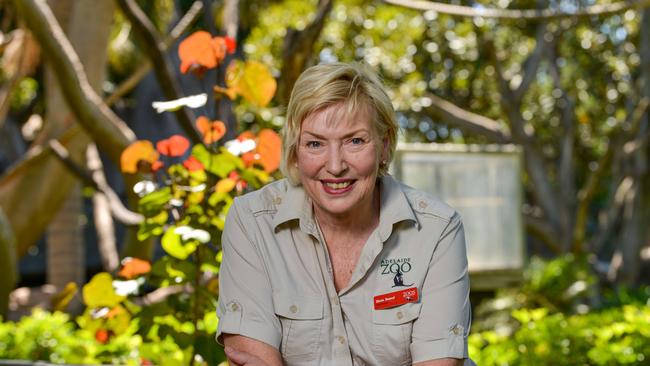 Chief Exec of Zoos SA Elaine Bensted at Adelaide Zoo. Picture: Brenton Edwards