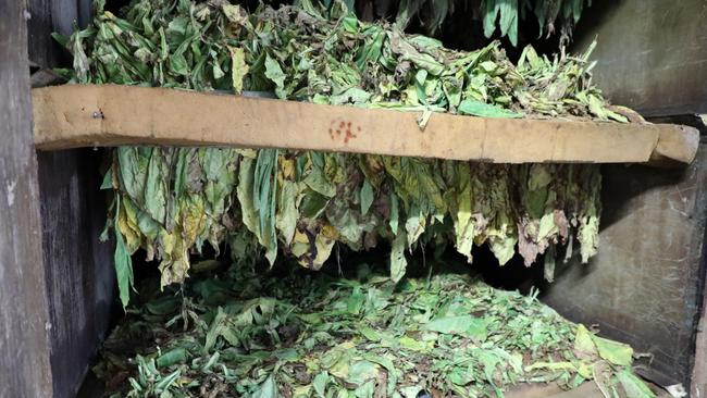 Investigators from the multi-agency task force at a Victorian property in July this year where a major illegal tobacco operation was uncovered. Picture: David Hurley/Border Force