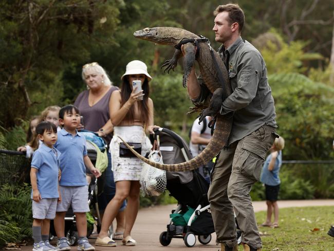 The Australian Reptile Park. Picture: Jonathan Ng