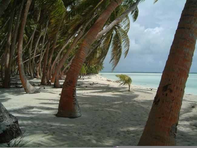 The sandy beaches and palm trees of Kiribati.