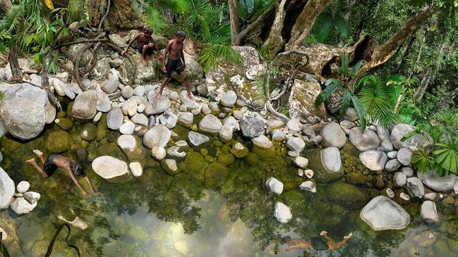 A close up of work depicting the Daintree rainforest, by fine art photographer Catherine Nelson, created for Silky Oaks Lodge. Picture: Catherine Nelson.