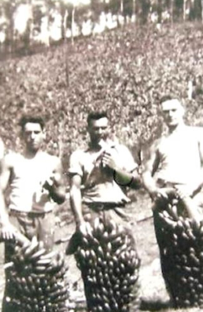 Douglas, Frank and Barney Cowin at a banana plantation at Valla, circa 1940.