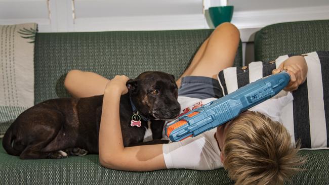 Stevie with beloved dog Tashy at home in Cairns. Picture: Brian Cassey