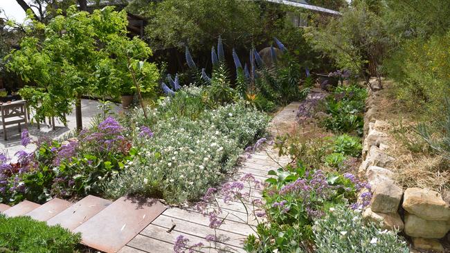 Oxigen director James Hayter’s tiered Quondong Garden in his Burnside house.