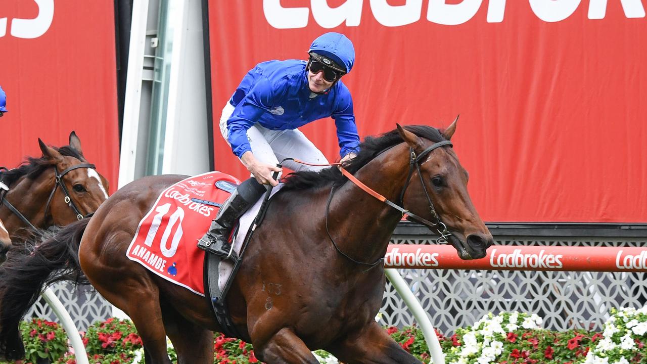 Cox Plate winner Anamoe is expected to be named Horse of the Year. Picture: Pat Scala/Racing Photos via Getty Images