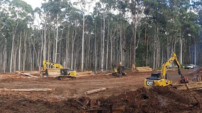 VicForests work at Babbington Hill in Wombat State Forest.