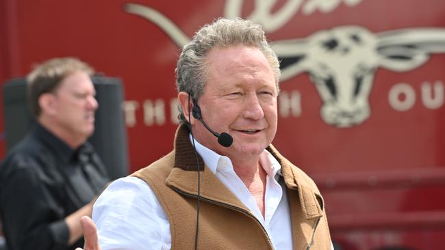 Andrew Forrest is investigating the establishment in Western Australia of a “green steel” plant. Picture: Keryn Stevens