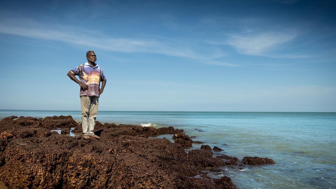 Tiwi Islands elder Dennis Tipakalippa took Santos to court over its Barossa offshore project.