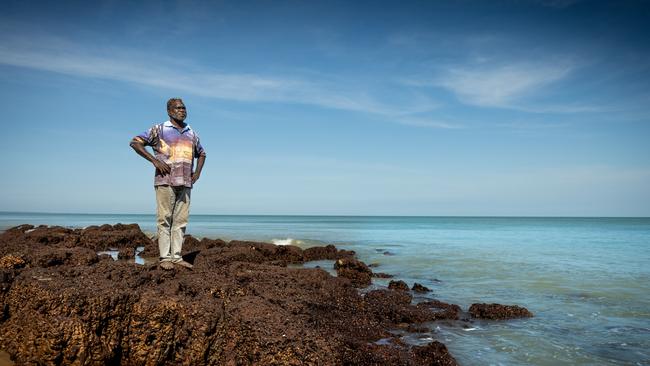 Tiwi Islands elder Dennis Tipakalippa took Santos to court over its Barossa offshore project.