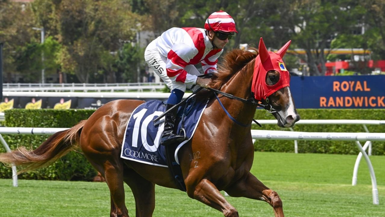 Sky’s the limit for Slipper hopeful on Saturday