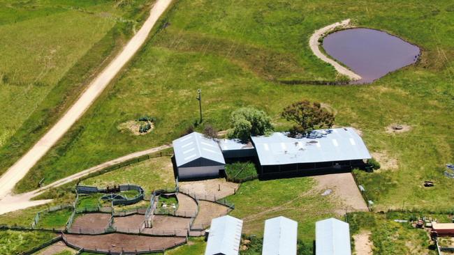 Tightly-held cattle country in the NSW Monaro region, South Bukalong, was sold at auction.