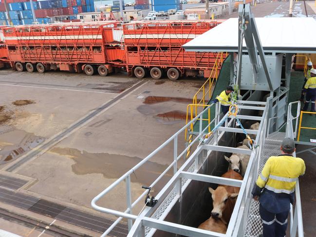 An innovative new ramp design has delivered spectacular results for Territory livestock exporters