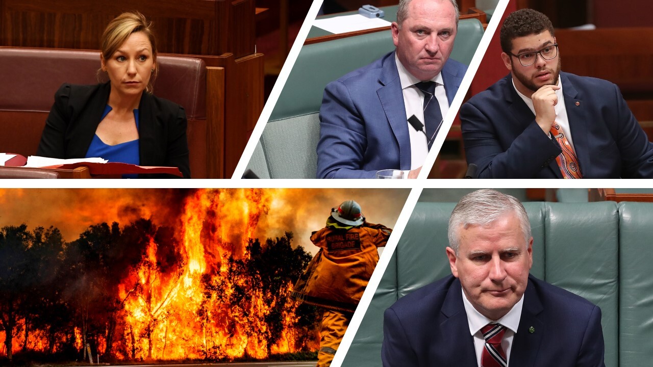 Bushfires 'brought out best in human nature, worst in politicians'