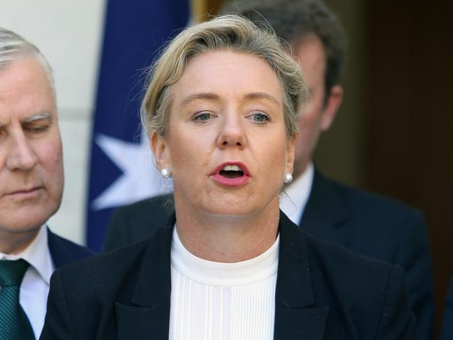 Bridget McKenzie is under pressure to resign. Picture: Gary Ramage