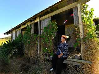 Milojevic Djordjevic's daughter Linda at the derelict shed on Yandina-Coolum Road. Picture: John McCutcheon