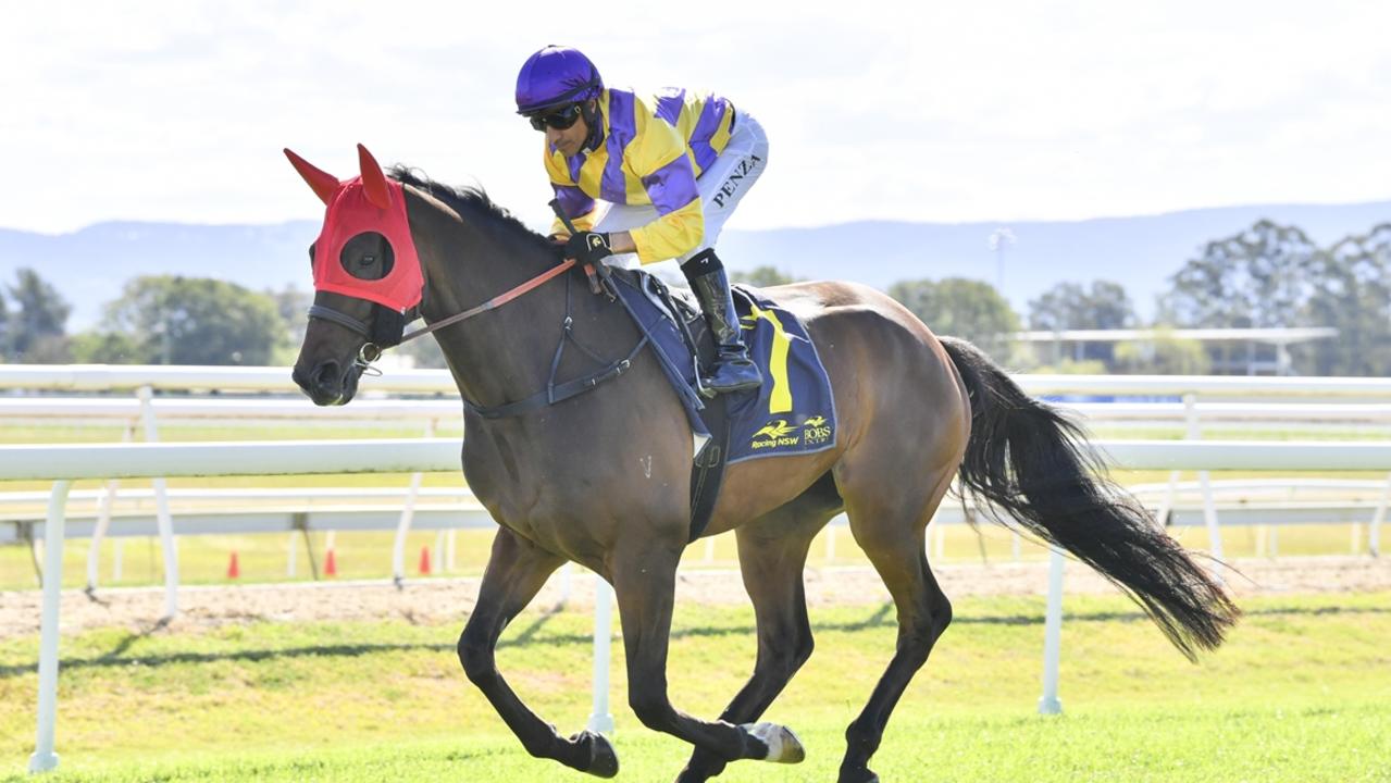 Monte Kahuna looks a good chance to record his second career win at Lismore. Picture: Bradley Photos