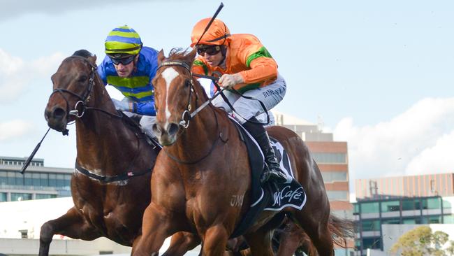 Shooting For Gold is looking to find his winning mojo again. Picture: George Sal—Racing Photos via Getty Images. Picture: Reg Ryan/Racing Photos via Getty Images