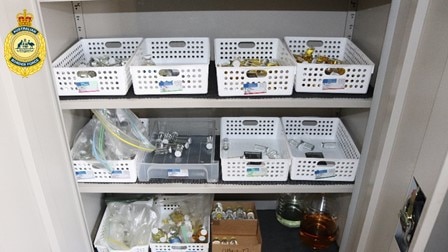Performance and image enhancing drugs seized by the Australian Border Force after a search at a Salisbury home last Tuesday. Picture: Supplied by ABF