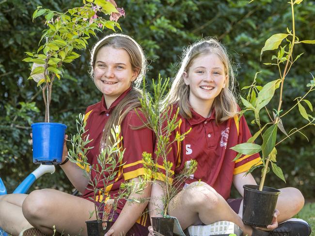 How Toowoomba is going even more green