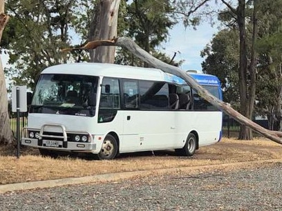 A school bus has been hit in a freak tree fall in the southern suburbs.