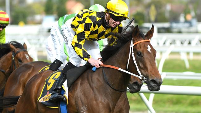 Jockey Damien Thornton will again ride last year’s 1000 Guineas winner Yearning in the Group 1 Empire Rose Stakes at Flemington. Picture: Getty Images