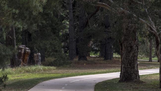 A dog walker has fallen almost 10 metres off a cliff in the Warringal Parklands (pictured) in Heidelberg, after chasing his pets after they ran off suddenly last night. Picture: LUIS ENRIQUE ASCUI