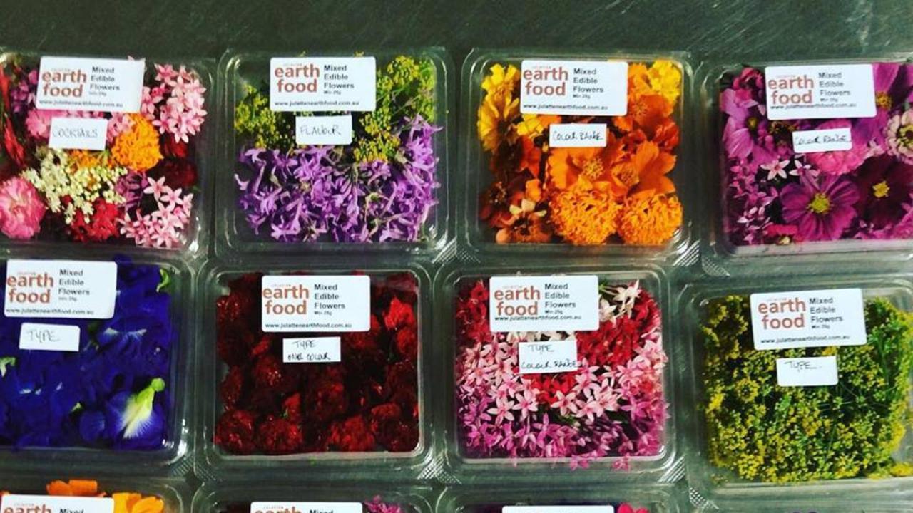 Edible Flowers, Pretty and Tasty - Sharon Palmer, The Plant