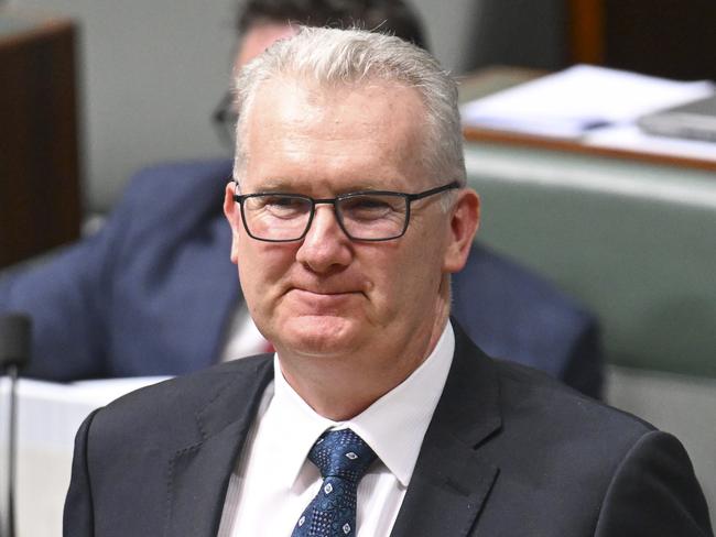 CANBERRA, AUSTRALIA  - NewsWire Photos - November 7, 2024: Leader of the House, Minister for Home Affairs and Minister for the Arts, Tony Burke during Question Time at Parliament House in Canberra. Picture: NewsWire / Martin Ollman