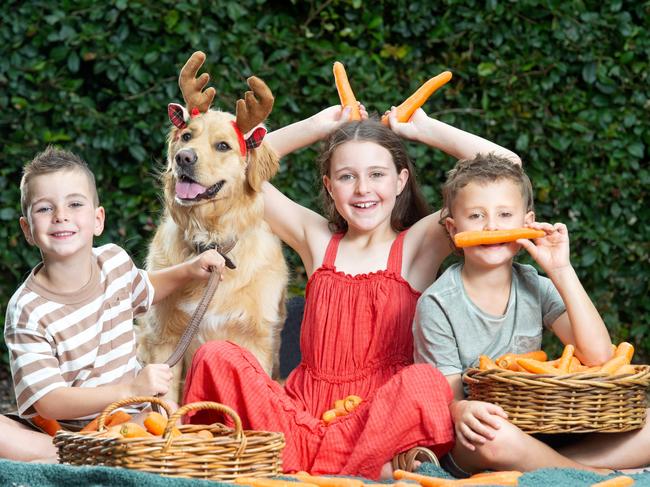 Finley Tucknott, 5, Tayah Tucknott, 9 and Makiah Tucknott, 6, with Ripley the dog, in Warranwood on December 18th, for the Coles free reindeer carrots promotion.PICTURE : Nicki Connolly