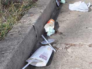 A local mum has taught her five-year-old daughter Chelsea the importance of looking after the environment and picking up rubbish, even when it's not hers. . Picture: File photo