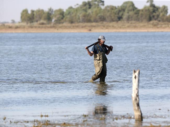 Duck hunting season opening, Lake Cullen, Kerang. Picture Yuri Kouzmin