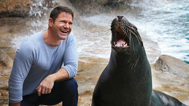 Conservationist Steve Backshall Is A Force Of Nature Daily Telegraph 