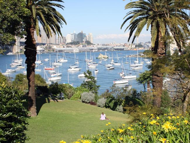 Wendy Whiteley's secret garden at Clark Park. Picture: Jason Busch