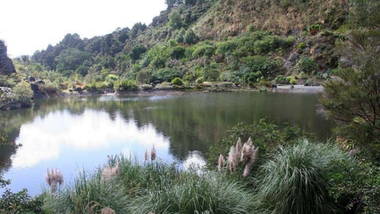 Other rehabilitated quarry sites. Whangarei Gardens.