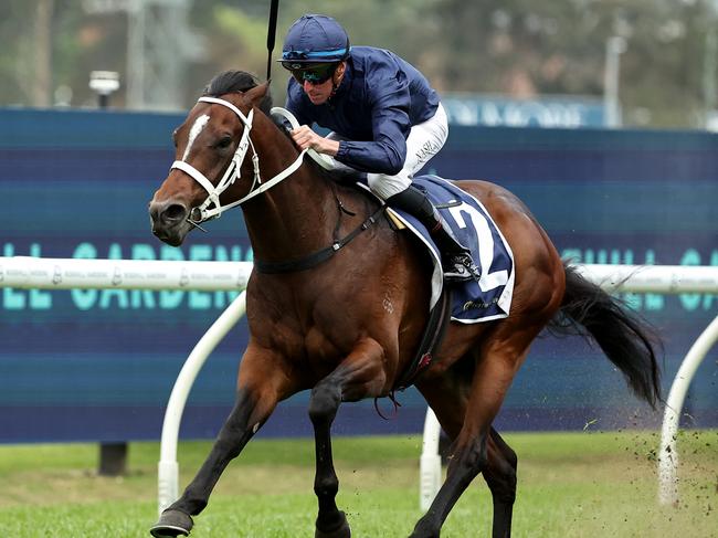 SYDNEY, AUSTRALIA - OCTOBER 12: Nash Rawiller riding Switzerland wins Race 5 Canadian Club Roman Consul Stakes during Sydney Racing at Rosehill Gardens on October 12, 2024 in Sydney, Australia. (Photo by Jeremy Ng/Getty Images)