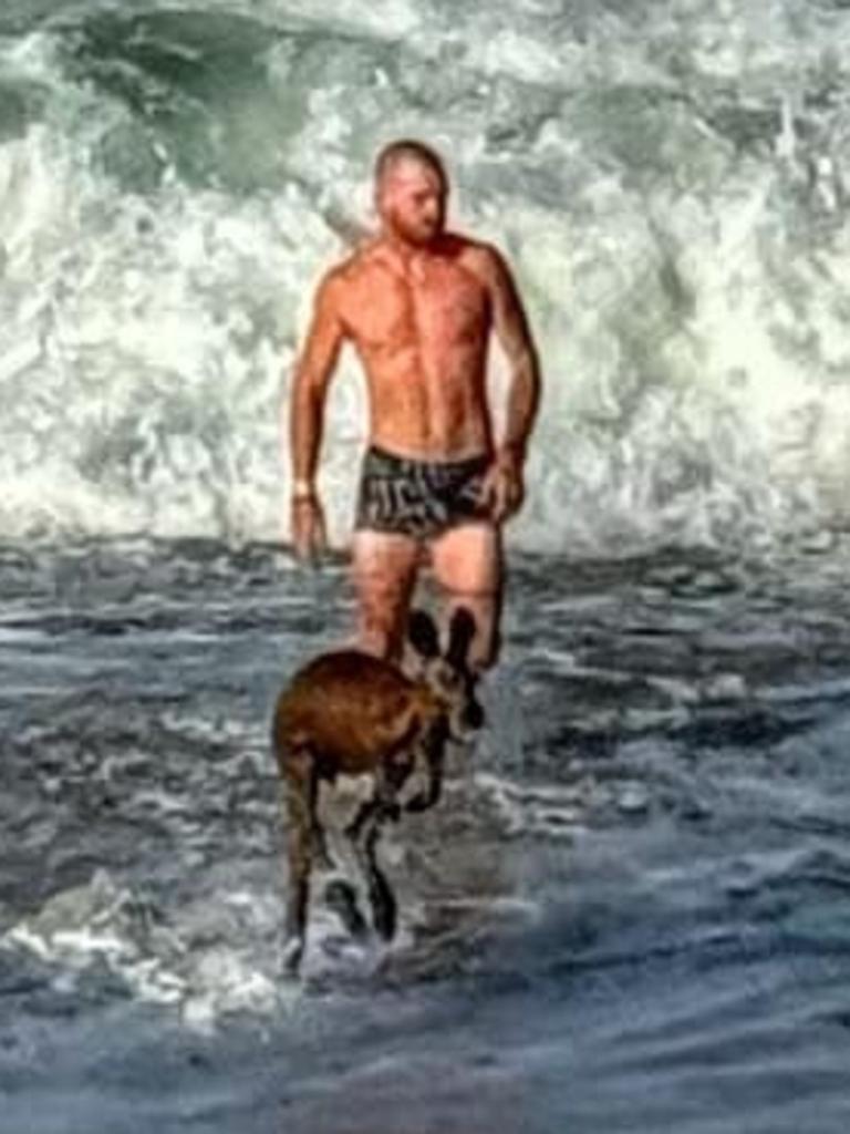 Man strips to rescue bewildered Kangaroo who got lost in turbulent waters at Port Noarlunga. Picture: Facebook