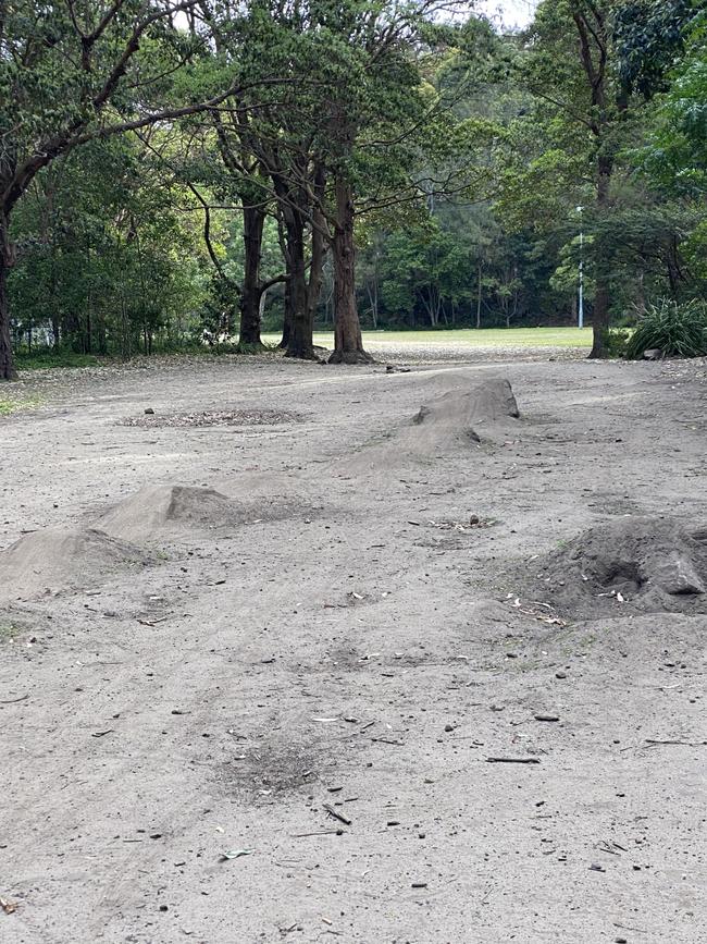 A basic bike track has already been built by youngsters at Reid Park.