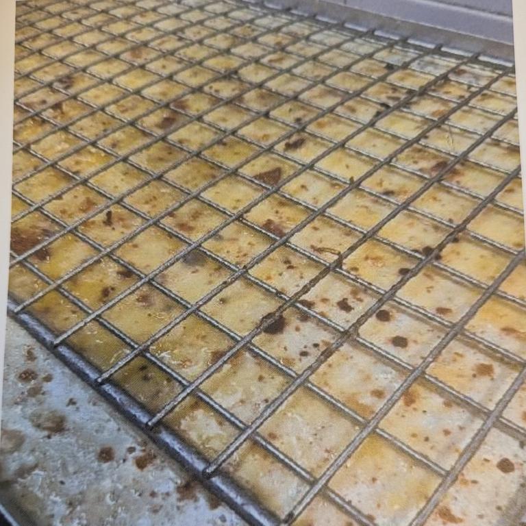 Pictures captured by City of Gold Coast Environmental Health Officers of dirty conditions inside former Mermaid Beach bakery Pane Organico. Picture: Supplied
