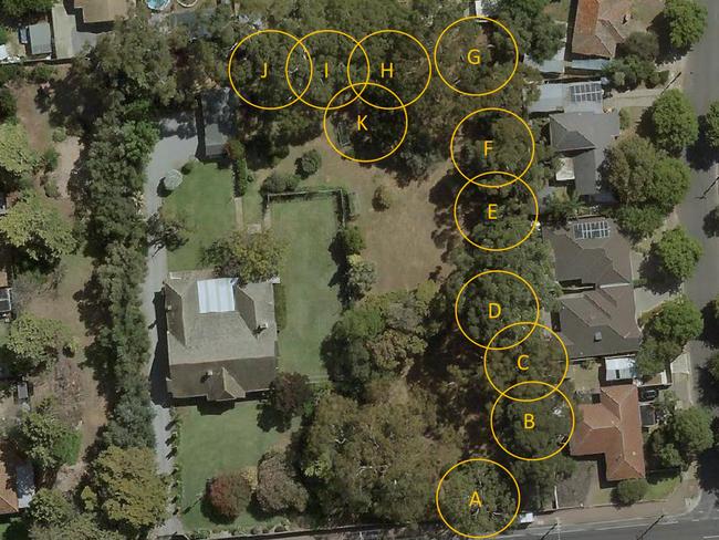 The trees on the massive block that were and species sought for removal, but later saved by the council.