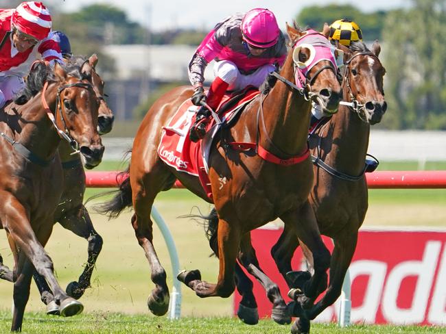 Allibor ridden by Dean Yendall wins the Ladbrokes Sandown Guineas at Ladbrokes Park Hillside Racecourse on November 14, 2020 in Springvale, Australia. (Scott Barbour/Racing Photos via Getty Images)