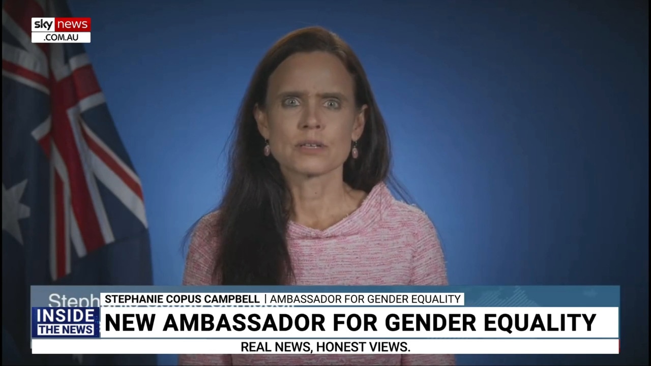 Australia has 'no need' for a 'scary' ambassador for gender equality