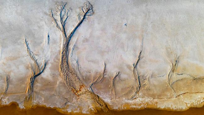 An aerial view of water receding into Lake Tyrrell creates tree-like shapes in the salty banks. Picture: Alex Coppel