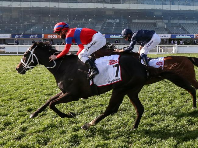 Verry Elleegant (NZ) ridden by Mark Zahra wins the Stella Artois Caulfield Cup at Caulfield Racecourse on October 17, 2020 in Caulfield, Australia. (George Salpigtidis/Racing Photos via Getty Images)