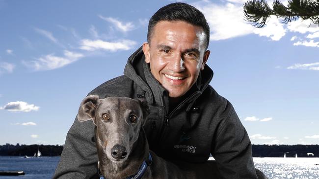 Socceroos legend Tim Cahill is the ambassador for Greyhounds As Pets. Picture: Chris Pavlich