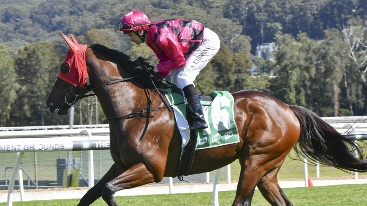 Outreach To Henry can bounce back to the winners' circle at Taree on Sunday. Picture: Bradley Photos