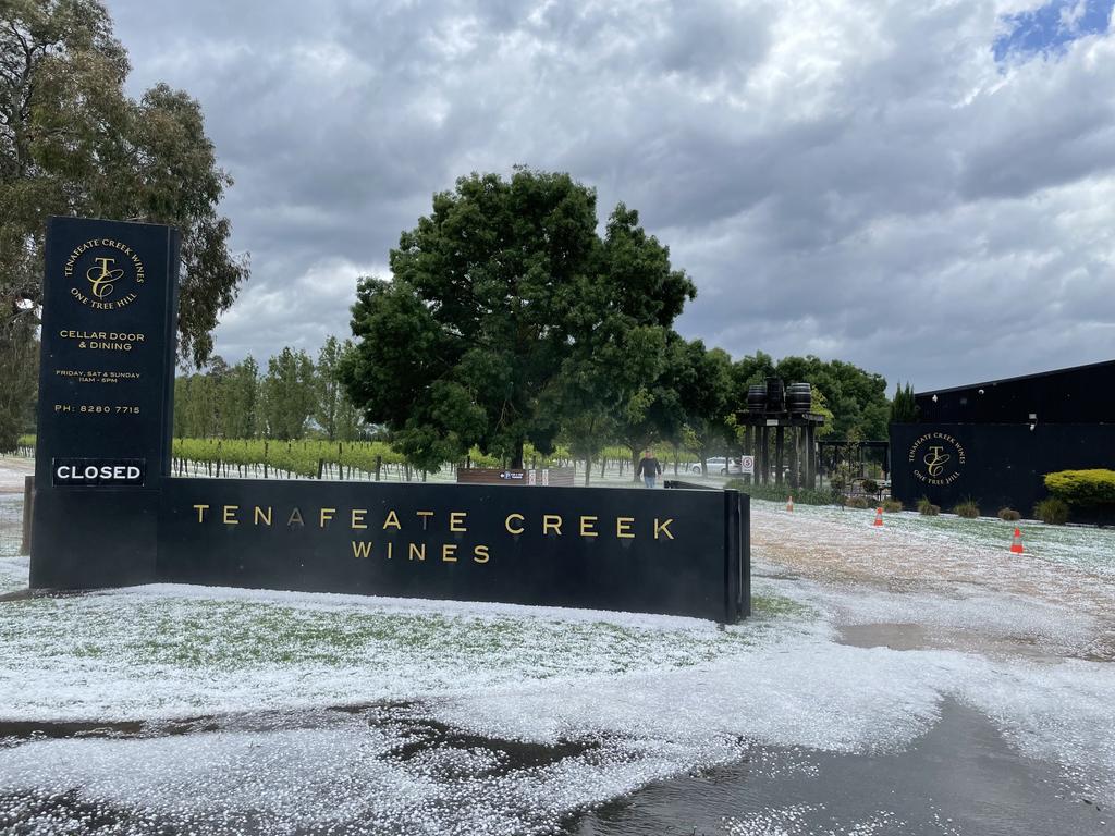 Tenafeate Creek Winery was hit by the hail storm . Picture: 7NEWS