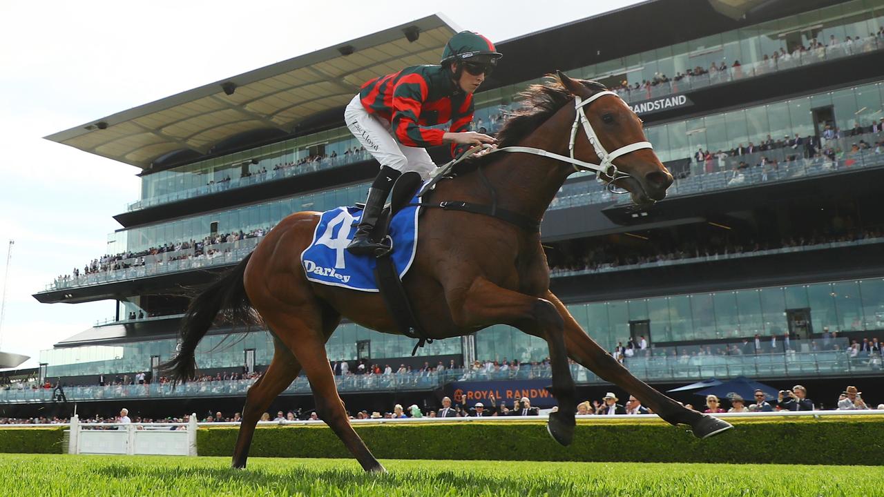 Lady Shenandoah is among the horses nominated to trial on Monday. Picture: Jeremy Ng-Getty Images