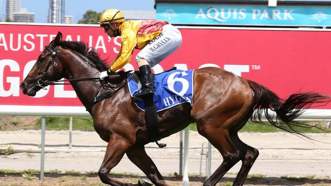 Darktown Strutter won the Class 3 Handicap (900m) at Aquis Park with jockey Bridget Grylls. Picture: Mike Batterham.