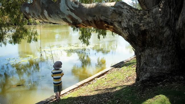 BIG4 Deniliquin Holiday Park won a Gold Award at the 2016 Qantas Australian Tourism Awards. PICTURE: Simon Dallinger